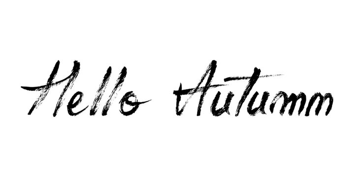 Hello Autumn Hand Drawn Calligraphy Text. Autumn vector lettering. Grunge brush stroke fall handwritten text for autumn cards, posters, invitations, social media.