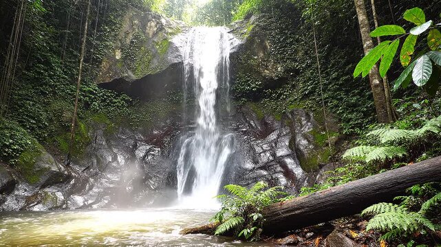 Tropical Waterfall Cascade With Fallen Tree Log In Foreground Deep Green Rainforest Jungle Nature Video Footage