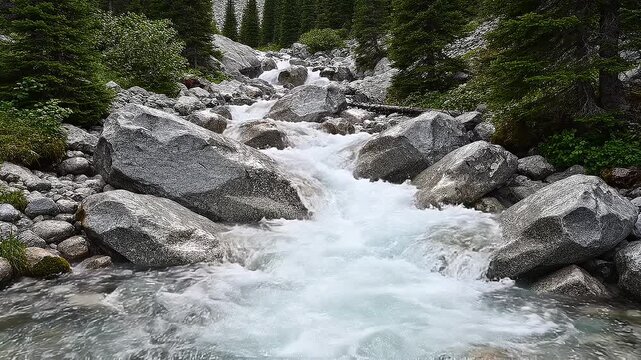 Fast Alpine Mountain River Rapid Rushing Through Large Rocky Boulders In Coniferous Forest Video Footage