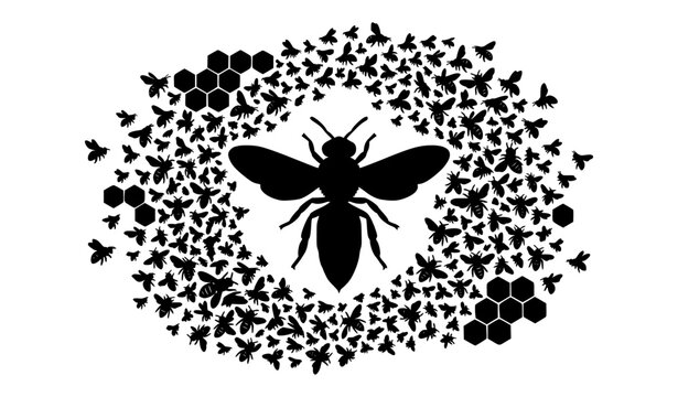 Queen Bee Surrounded by Honey Bee Swarm Black Silhouette Vector