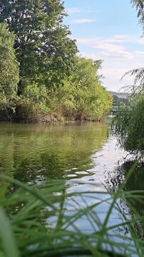 Peaceful river flowing through a lush green forest