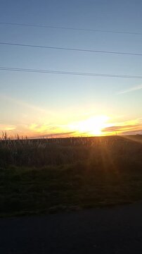 vertical landscape video, dusk scenery for travel and nature content,Golden sunset over rural countryside road with wild grass silhouettes and power lines, dramatic orange sky