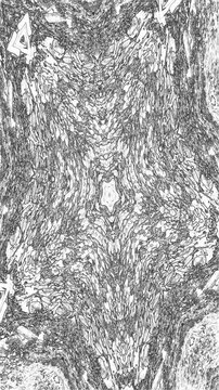 Un'ipnotica e dettagliata texture astratta in bianco e nero si sviluppa attorno a un nucleo geometrico centrale a forma di stella