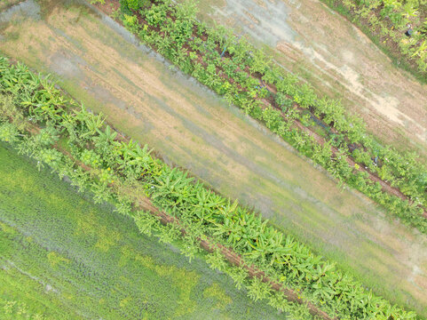 Drone view of mixed crop farming and waterlogged fields during rainy season. Sustainable agriculture and rural food production. Sustainable land use, biodiversity and climate resilient agriculture.