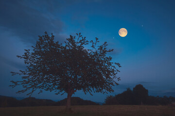 Full Moon, stars and planets above landscape silhouettes in blue hour time. © astrosystem