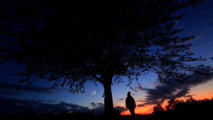 Silhouette of a person in nature observing night sky, Moon, stars and planets from a remote location. © astrosystem