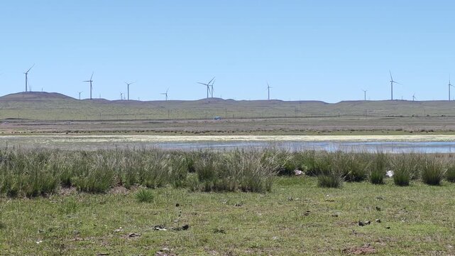 Scenic landscape of salt lake wetland and distant wind turbines in summer in Ulan Hada Volcano Geopark, Ulanqab, Inner Mongolia, China