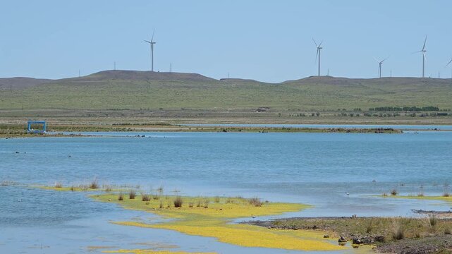 Scenic landscape of salt lake wetland and distant wind turbines in summer in Ulan Hada Volcano Geopark, Ulanqab, Inner Mongolia, China
