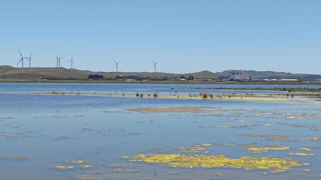 Scenic landscape of salt lake wetland and distant wind turbines in summer in Ulan Hada Volcano Geopark, Ulanqab, Inner Mongolia, China