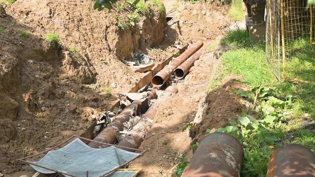 engaged in digging and installing large pipes at a construction site outdoors. The area is surrounded by green plants and gravel, indicating ongoing utility work