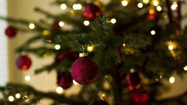 Festive video of a shiny red bauble decorating a green Christmas tree branch with warm shimmering fairy lights and beautiful soft bokeh background.