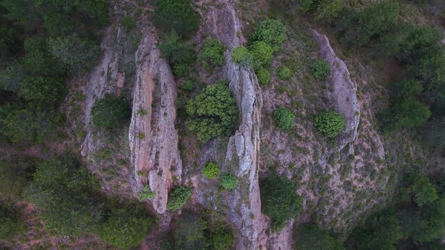 Aerial drone view of the pine forests and crags in Muro de Aguas, in the Arnedo region. Eastern Rioja or Lower Rioja. Autonomous Community of La Rioja. Spain. Europe