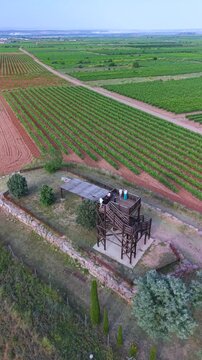 Vineyard landscape at the Mirador de las Vi&ntilde;as viewpoint in Aldanueva de Ebro, in the Alfaro region. Eastern Rioja. La Rioja. Spain. Europe