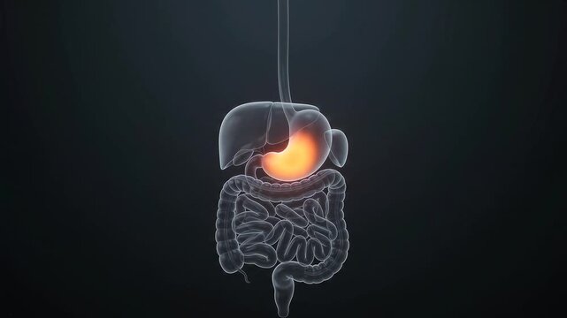 Stomach pain 3d medical animation digestive system