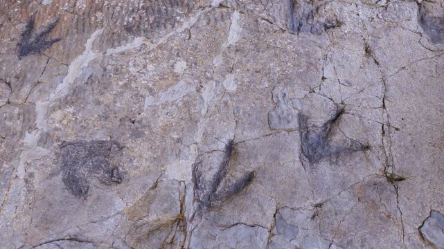 Dinosaur footprints (ichnites) at the Los Cayos site in Cornago, Cervera region, Eastern Rioja or Lower Rioja, Autonomous Community of La Rioja, Spain, Europe