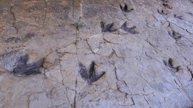 Dinosaur footprints (ichnites) at the Los Cayos site in Cornago, Cervera region, Eastern Rioja or Lower Rioja, Autonomous Community of La Rioja, Spain, Europe