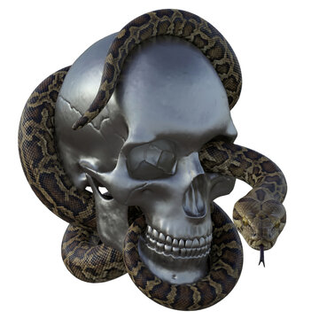 skull&snake