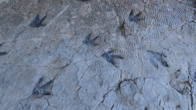 Dinosaur footprints (ichnites) at the Los Cayos site in Cornago, Cervera region, Eastern Rioja or Lower Rioja, Autonomous Community of La Rioja, Spain, Europe