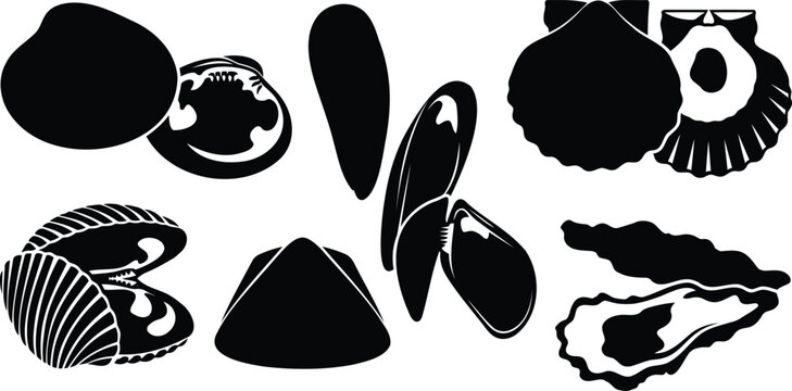 Black silhouettes of various seashells and mollusks