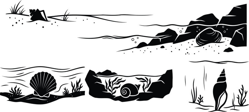 Black and white seashell collection with ocean scenery