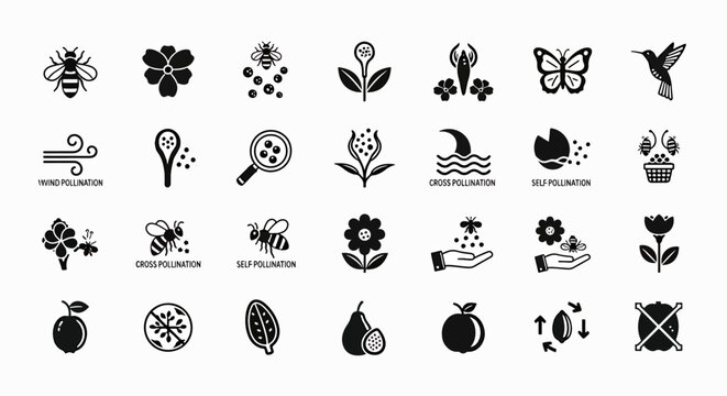 Pollination icons set, vector illustration of different pollination methods, plants and flowers, nature and environment