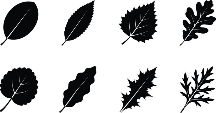 Set of various black leaf silhouettes collection