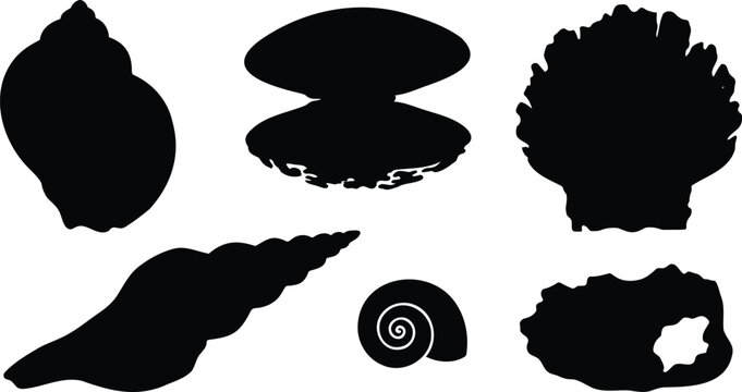 Set of black sea shell silhouettes on a flat design
