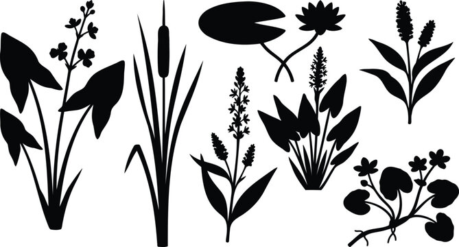 Set of black silhouettes of aquatic pond plants