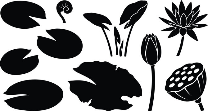 Black silhouette collection of lotus flowers and lily pads