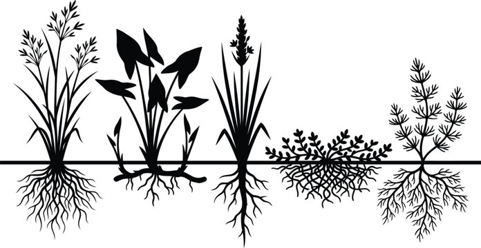 Set of black plant silhouettes with roots
