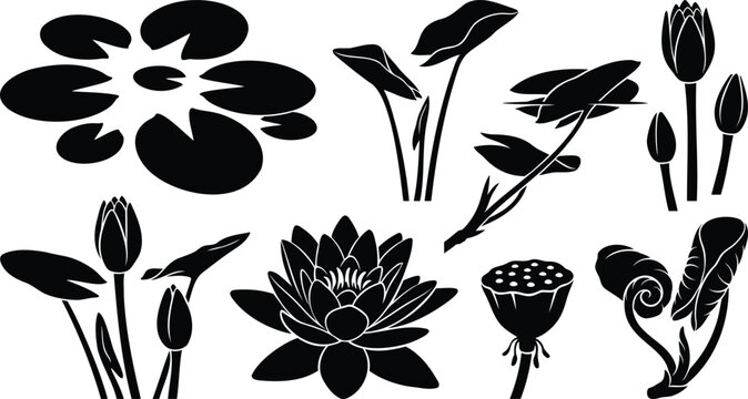 Black silhouette collection of beautiful lotus flower plants