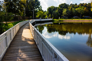 Obraz premium Picturesque wooden boardwalk stretching along a calm lake, inviting path for a peaceful walk surrounded by lush greenery and sunlit trees under a bright summer sky