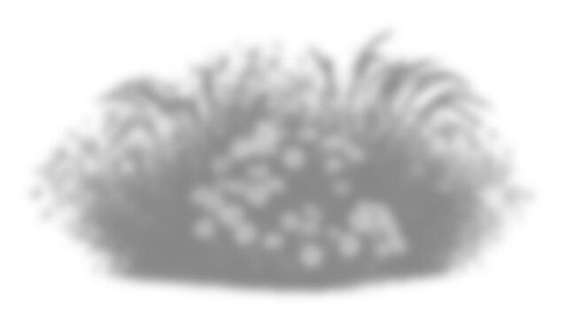 Grey silhouette of a small bush or plant clump with detailed foliage and grassy texture, isolated on transparent background
