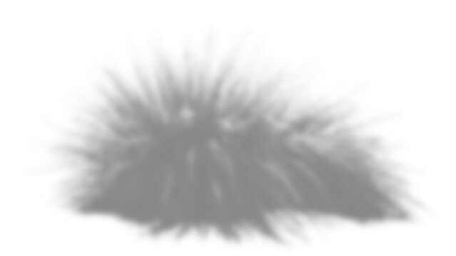 Soft blurry shadow overlay of a bush or grass cluster isolated on transparent background