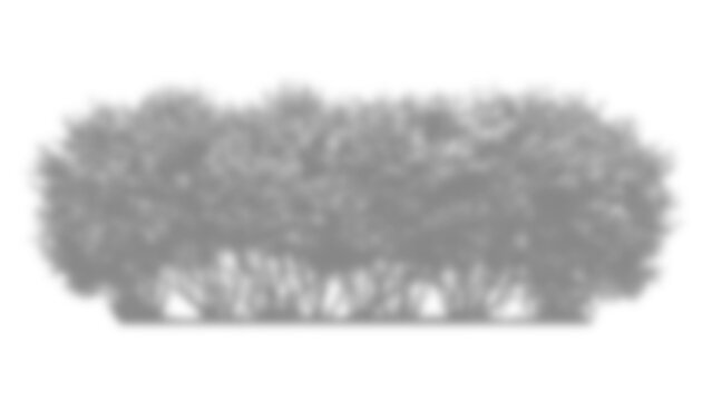 Bush or hedge silhouette isolated on transparent background