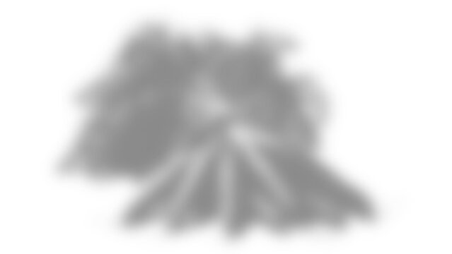 A stylized illustration of a campfire with logs arranged in a cone shape and flames rising above, depicted in a simple, clean, and minimalist graphic design style isolated on transparent background