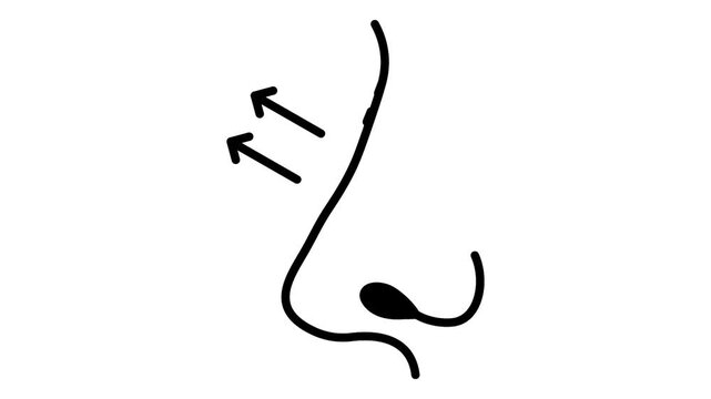 nose uplift procedure animation, nose cosmetic enhancement animated video, plastic surgery motion graphics