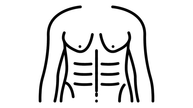 front torso core muscles animation, sagging chest skin animated video, plastic surgery procedure motion graphics