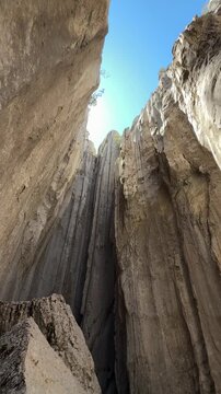 Vertical Nature Cinematic View from Inside an Isolated Snow Hollow