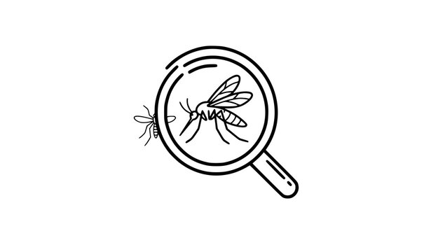 mosquito, insect, magnifying, glass, pest, control, hand, drawn, vector, illustration, line, art, sketch, bug, bite, disease, malaria, zoom, search, inspect, entomology, outline, minimal, black, white