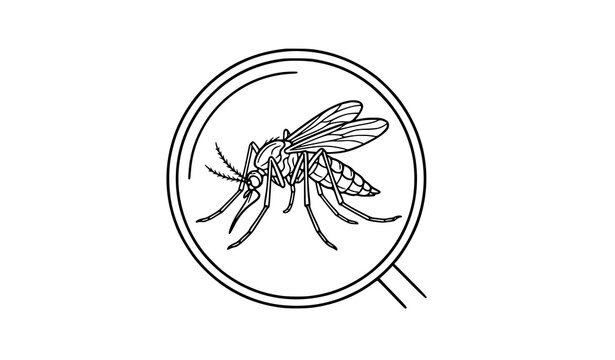 mosquito, insect, magnifying, glass, pest, control, hand, drawn, vector, illustration, line, art, sketch, bug, bite, disease, malaria, zoom, search, inspect, entomology, outline, minimal, black, white