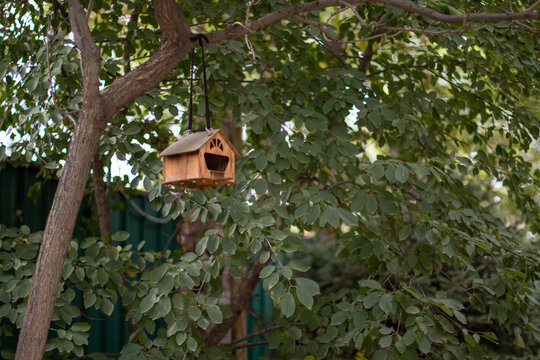 wooden birdhouse on tree