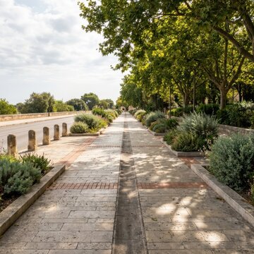 Tree lined promenade with landscaped walkway and calm daylight