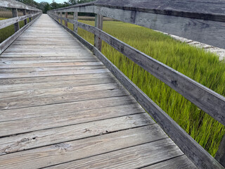 Fototapeta premium SC LR Boardwalk Low Angle 2026