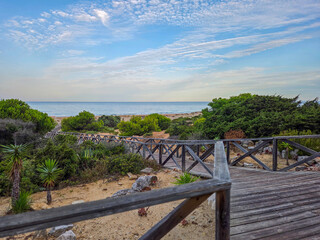 La Barrosa beach in Sancti Petri, Cadiz, Spain, in august 2026 © josevgluis