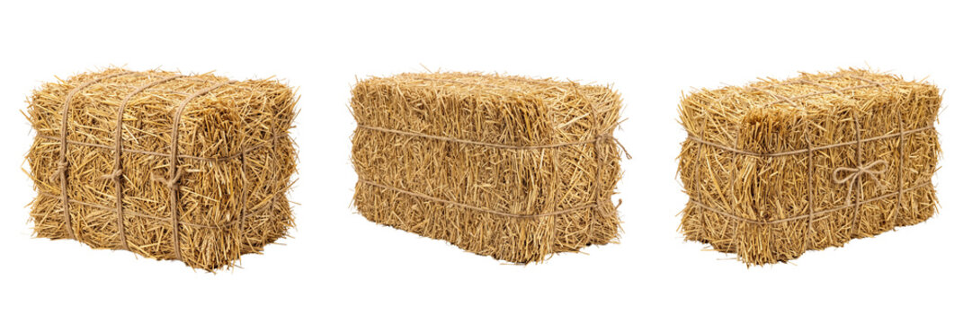 Three rectangular bales of dry straw tied with rough twine isolated on a transparent background agriculture