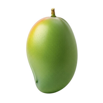 Fresh green mango fruit isolated