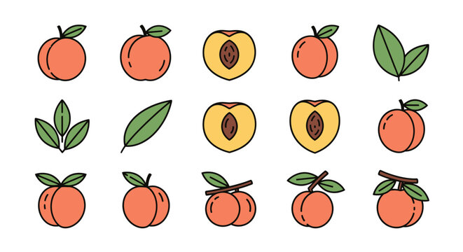 Collection of Fresh Peaches and Green Leaves, Vibrant Fruit Illustrations.
