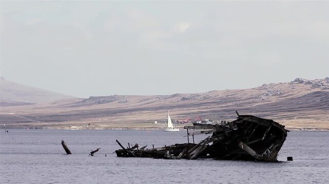 Historic Wooden Shipwreck On Shoreline With Sailboat In Port Stanley Falkland Islands (Islas-Malvinas) - 4K