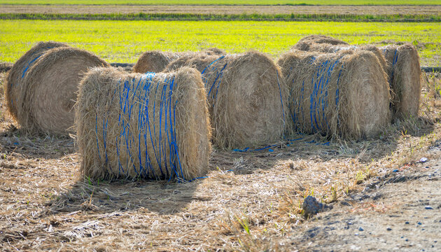 bales of hay
